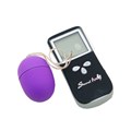 Remote Egg 10頻液晶螢幕遙控蛋-迷你(紫)