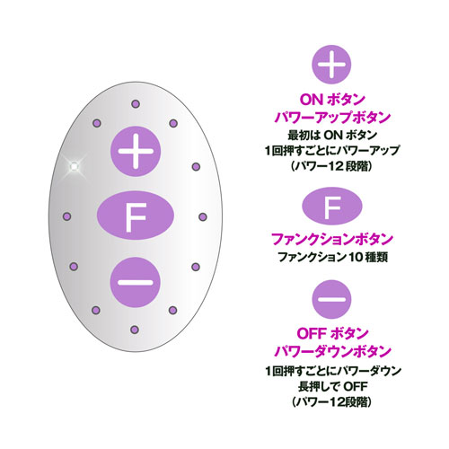 日本 SSI 震蛋 Rotor Type-R Purple R轉子震蛋 BIG(紫)