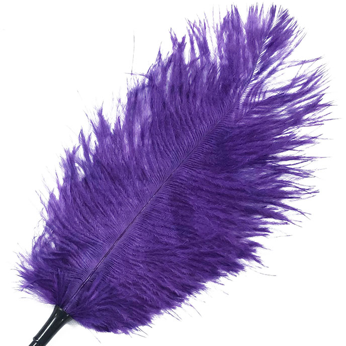 Ostrich Tickler 調情駝鳥羽毛 DC003(紫)